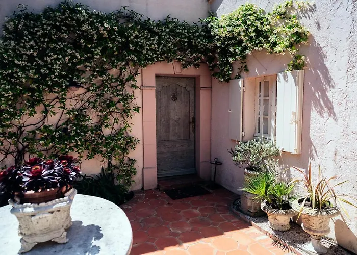 Les Muscadines Tropez, De Tahiti Pampelonne *